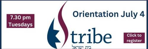 Banner Image for TRIBE Jewish Education and Conversion